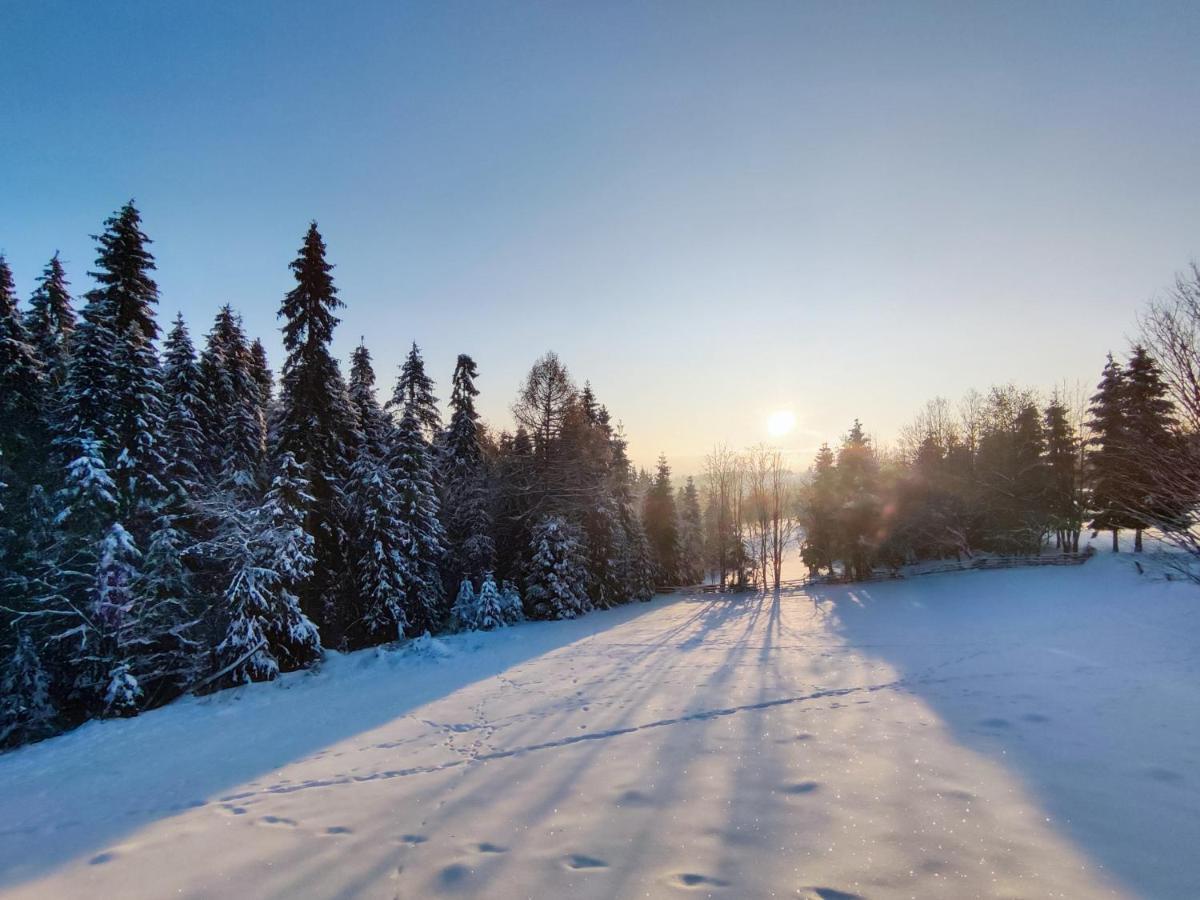 Przystanek Gorce Villa Nowy Targ Eksteriør billede
