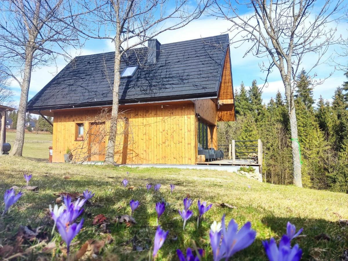 Przystanek Gorce Villa Nowy Targ Eksteriør billede